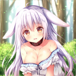 This is a pixiv picture whose title is 「わ、わたしを飼ってくれませんか…？」.