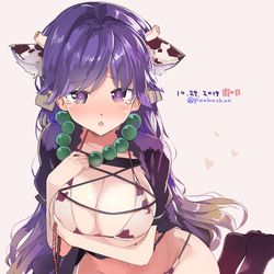 This is a pixiv picture whose title is 畜生界に堕ちた聖の姿.
