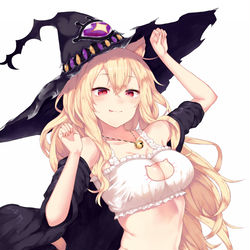 This is a pixiv picture whose title is ねこドロシー.