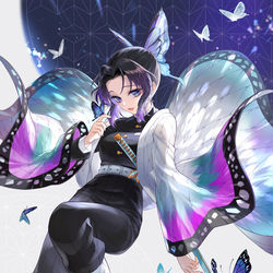 This is a pixiv picture whose title is しのぶさん.
