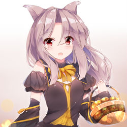 This is a pixiv picture whose title is ハロウィンづほ.
