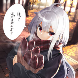 This is a pixiv picture whose title is 秋.