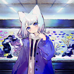 This is a pixiv picture whose title is ねこと熱帯魚.