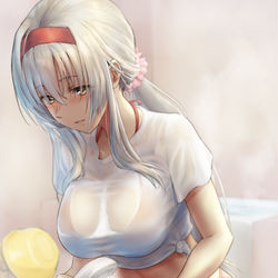 This is a pixiv picture whose title is 翔鶴.