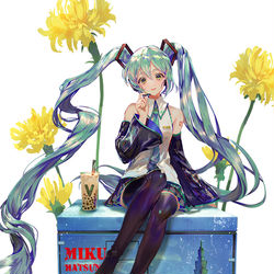 This is a pixiv picture whose title is HATSUNE MIKU EXPO 2019 Taiwan.