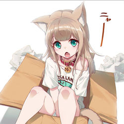 This is a pixiv picture whose title is ダンボールを片付けようとしたら占領されてました.