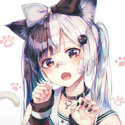 This is a pixiv picture whose title is neko.