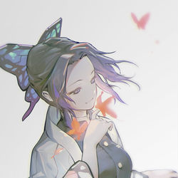 This is a pixiv picture whose title is 胡蝶 しのぶ.