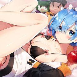 This is a pixiv picture whose title is レム.
