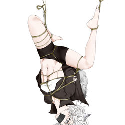 This is a pixiv picture whose title is 狼x狼.