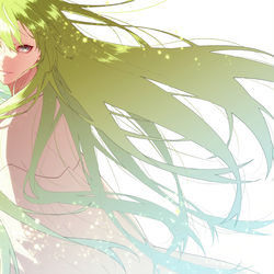 This is a pixiv picture whose title is エルキドゥ.