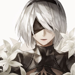 This is a pixiv picture whose title is 2B.