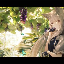 This is a pixiv picture whose title is 葡萄畑にて.