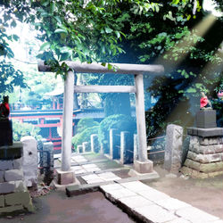 This is a pixiv picture whose title is 令和元年11月17日.