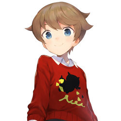 This is a pixiv picture whose title is 剣盾のたんぱんこぞうが可愛すぎた件.