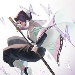 This is a pixiv picture whose title is 胡蝶しのぶ.