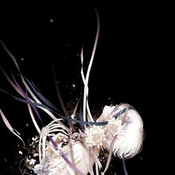 This is a pixiv picture whose title is immortal.