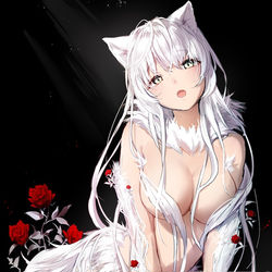 This is a pixiv picture whose title is 白猫.