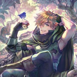 This is a pixiv picture whose title is ロビン.