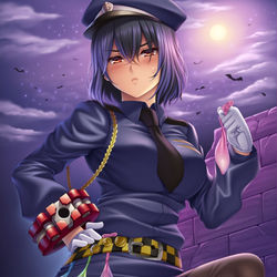 This is a pixiv picture whose title is えちえち警察だ！！！.