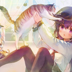 This is a pixiv picture whose title is 暁ﾁｬﾝと懐かない猫.