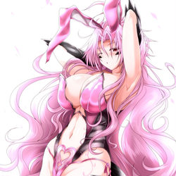 This is a pixiv picture whose title is ラビット！ドラゴン！ベストマッチ！Ⅷ.