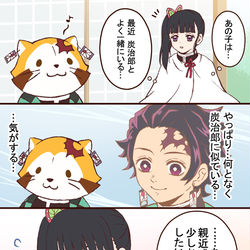 This is a pixiv picture whose title is 洗熊といっしょ.