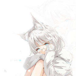 This is a pixiv picture whose title is Minimalist 🦊.