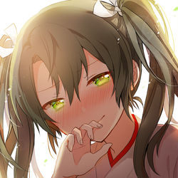 This is a pixiv picture whose title is 瑞鶴進水日おめでとう.