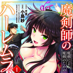 This is a pixiv picture whose title is 単行本「魔剣師の魔剣による魔剣のためのハーレムライフ」表紙.