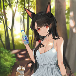 This is a pixiv picture whose title is akagi.
