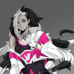 This is a pixiv picture whose title is 剣盾まとめ.