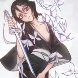 This is a pixiv picture whose title is bleach.