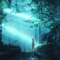This is a pixiv picture whose title is 夜枫.