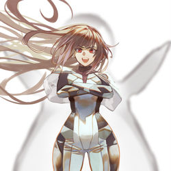 This is a pixiv picture whose title is last origin penguin.