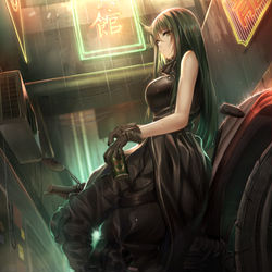 This is a pixiv picture whose title is 龍 門 大 飈 客.