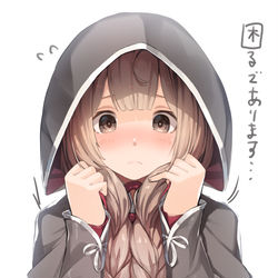 This is a pixiv picture whose title is 神州丸.