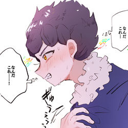 This is a pixiv picture whose title is 剣盾まとめ.