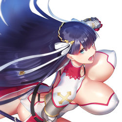 This is a pixiv picture whose title is マルタどの.