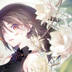This is a pixiv picture whose title is 月下美人の花.