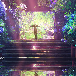 This is a pixiv picture whose title is 绣球花.