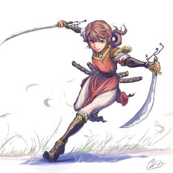 This is a pixiv picture whose title is 二刀の閃き.