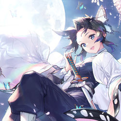 This is a pixiv picture whose title is 胡蝶しのぶ.