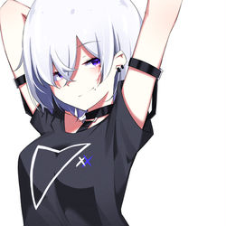 This is a pixiv picture whose title is 白髪ちゃん.