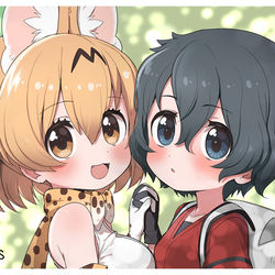 This is a pixiv picture whose title is 木漏れ日とサーかば.