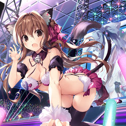 This is a pixiv picture whose title is cats Live✨.