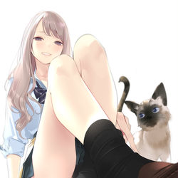 This is a pixiv picture whose title is ぎゃると猫.