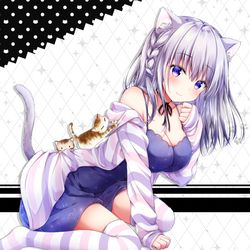 This is a pixiv picture whose title is ねこねこねこ.