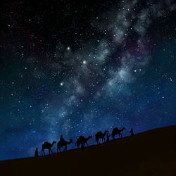 This is a pixiv picture whose title is Caravan.