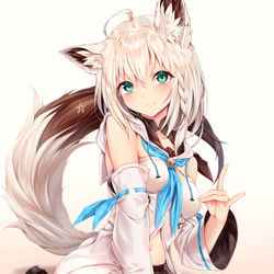 This is a pixiv picture whose title is 白上フブキちゃん.